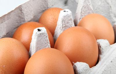 huevos de gallina