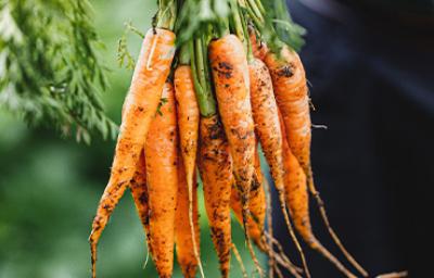Existen muchísimas recetas con zanahoria para usarla cruda o cocinada.